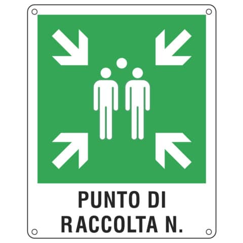 Cartello d'emergenza 40x50 cm Cartelli Segnalatori ''Punto di raccolta'' E20171Y